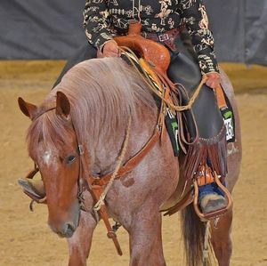 Meet your Posher, Janet